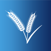 Schermafbeelding 2025-03-27 om 20.39.29.png