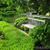 Groene tuin