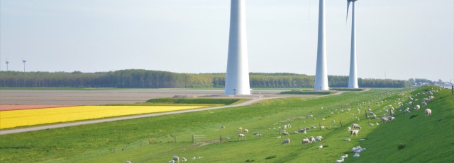 foto dijk noordoostpolder.JPG