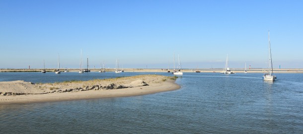 IMG_1969