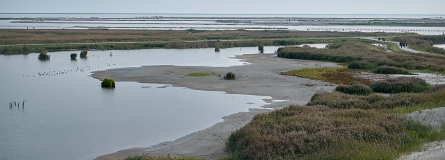 Marker Wadden