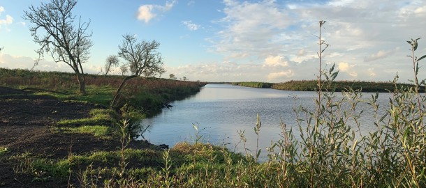 natuur.jpg